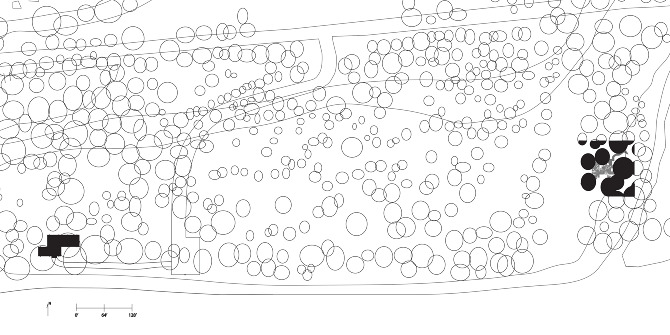 U555u | Images: Farnsworth House Site Plan U555u | Images: Farnsworth House Site Plan